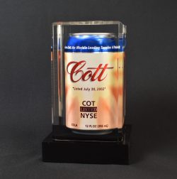 Lucite Rectangle Embedment