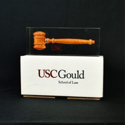 Lucite Rectangle Embedment