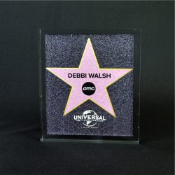 Full Color Printed Award Example 11