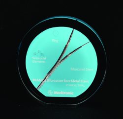 Circle Lucite Embedment Award