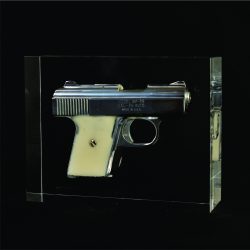 Lucite Product Display Embedment