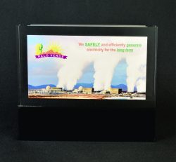 Lucite Rectangle Embedment