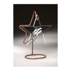 WHBS10 Lucite Star Recognition Award