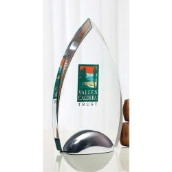 CBTD10 Acrylic Oval Sabre Award