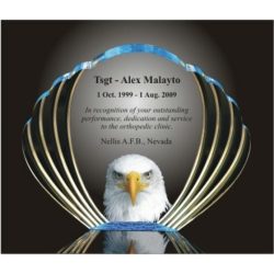 Acrylic Eagle Oval Award