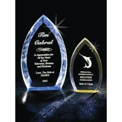 PN2 Acrylic Oval Recognition Award