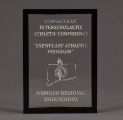 Rectangle Cast Solid Color Outside Frame
