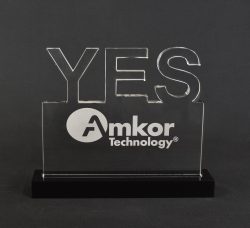 Custom Shaped Cut Out Award