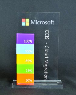 Custom Perpetual Cut Out Award